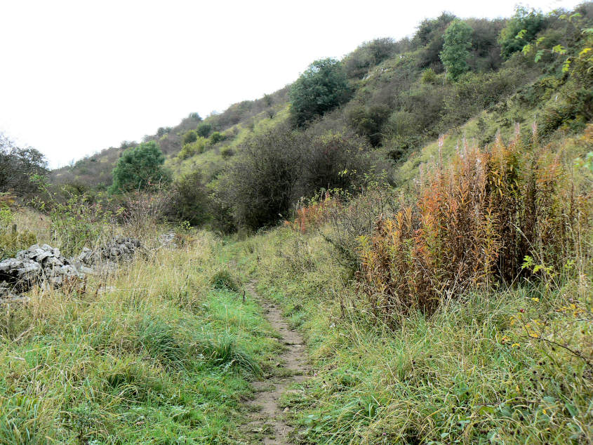 Gratton Dale Gratton Dale